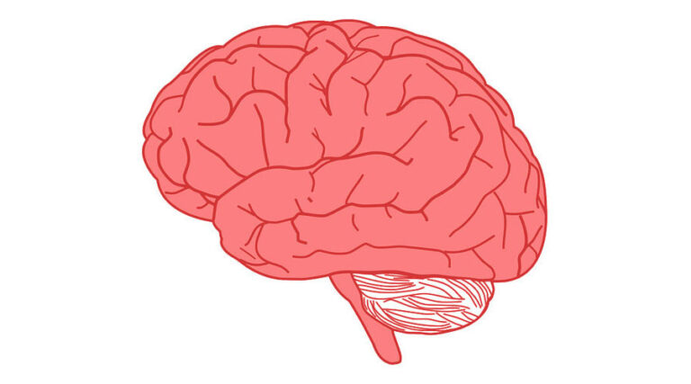 Kako “otključamo” mozak?